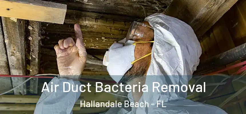 Air Duct Bacteria Removal Hallandale Beach - FL