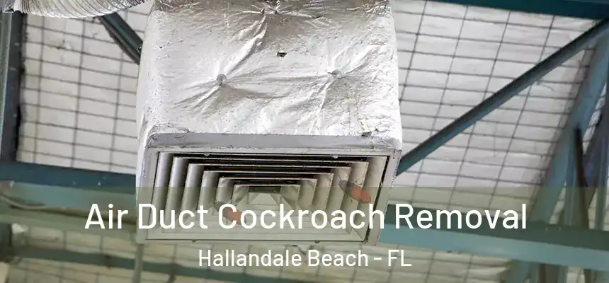 Air Duct Cockroach Removal Hallandale Beach - FL