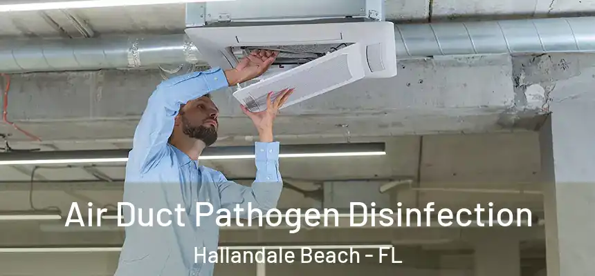 Air Duct Pathogen Disinfection Hallandale Beach - FL