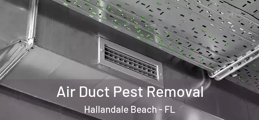 Air Duct Pest Removal Hallandale Beach - FL