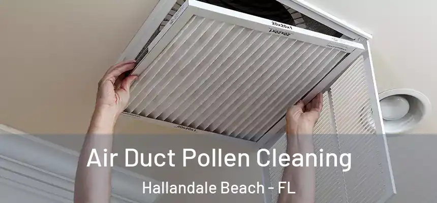 Air Duct Pollen Cleaning Hallandale Beach - FL