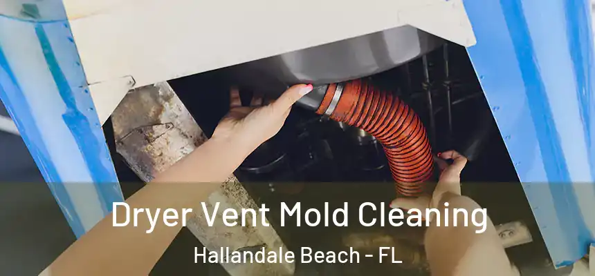Dryer Vent Mold Cleaning Hallandale Beach - FL