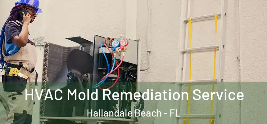 HVAC Mold Remediation Service Hallandale Beach - FL
