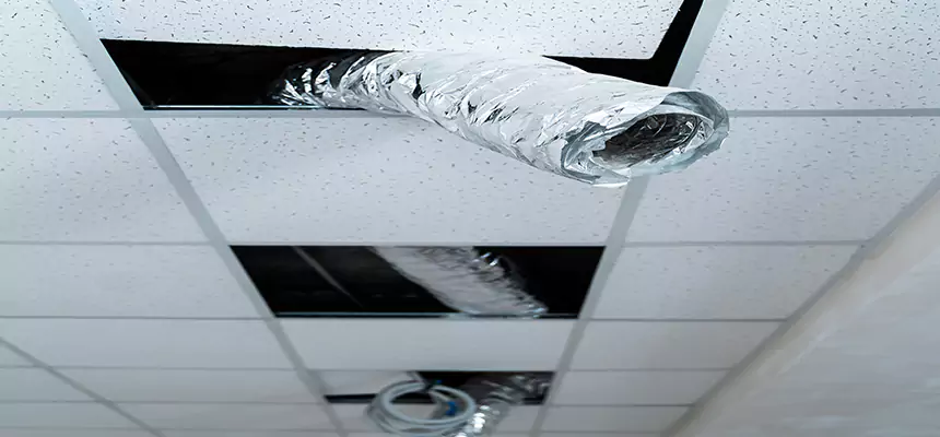 Affordable HVAC Sanitizing After Pest Removal in Hallandale Beach