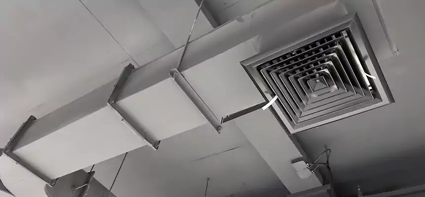 Restorative Allergy Relief Vent Cleaning – Coil, Blower & Housing Detail in Hallandale Beach