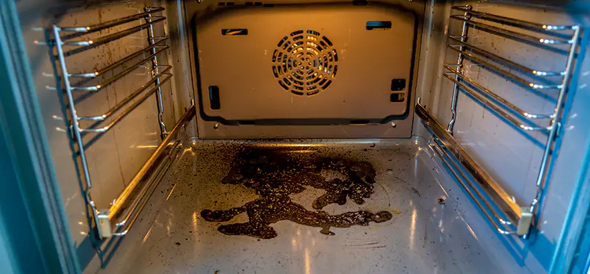 Our Dryer Vent Mold Cleaning Services in Hallandale Beach, FL
