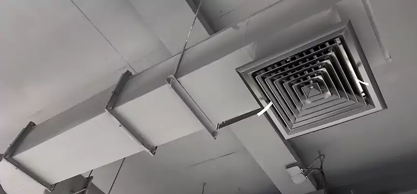 Our Pest Removal From Ducts Services in Hallandale Beach, FL
