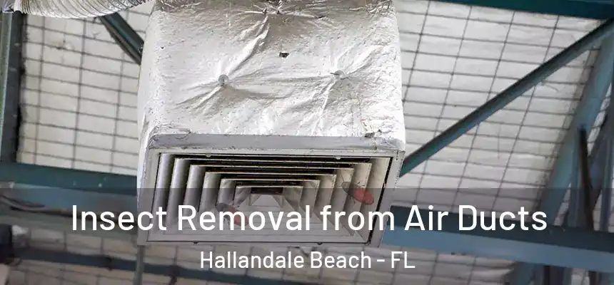 Insect Removal from Air Ducts Hallandale Beach - FL