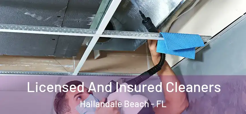 Licensed And Insured Cleaners Hallandale Beach - FL