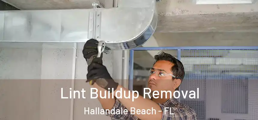 Lint Buildup Removal Hallandale Beach - FL