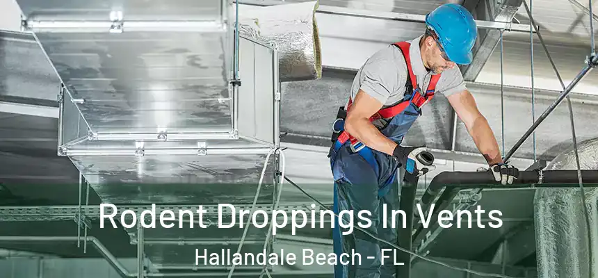Rodent Droppings In Vents Hallandale Beach - FL