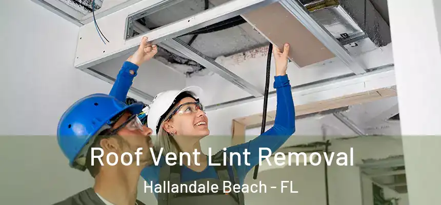 Roof Vent Lint Removal Hallandale Beach - FL