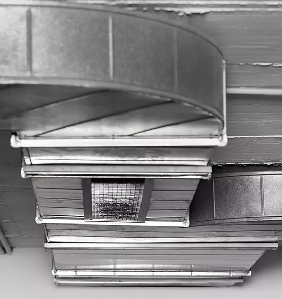 Professional Air Duct Pet Hair Removal in Hallandale Beach, FL