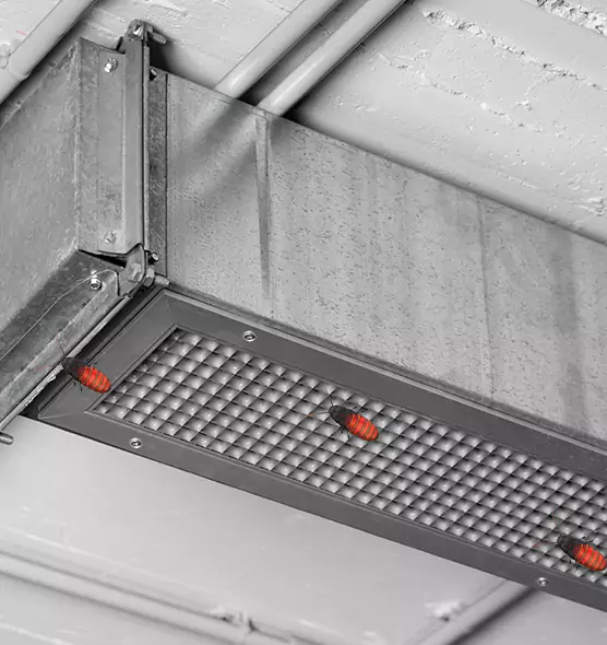 Affordable Insect Removal from Air Ducts in Hallandale Beach, FL