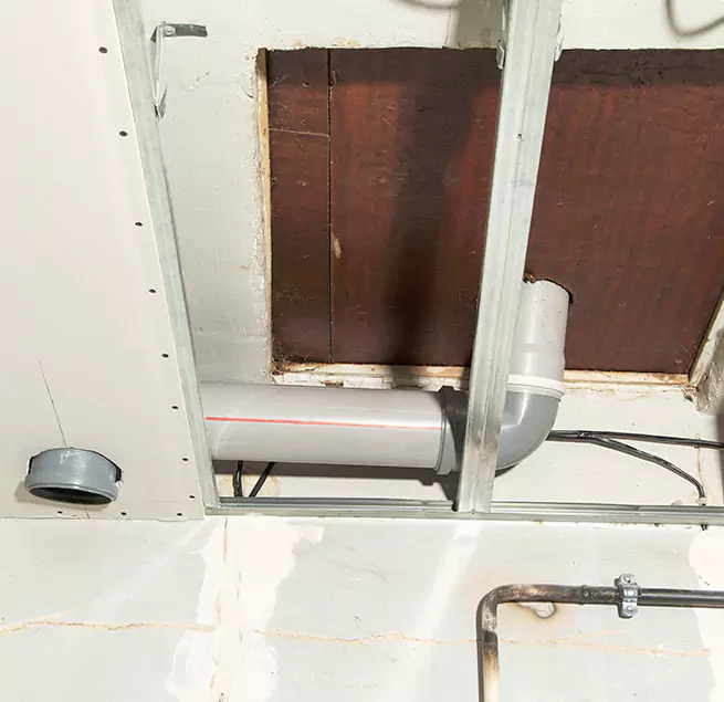 Why Homeowners & Businesses Trust Us in Hallandale Beach, FL?