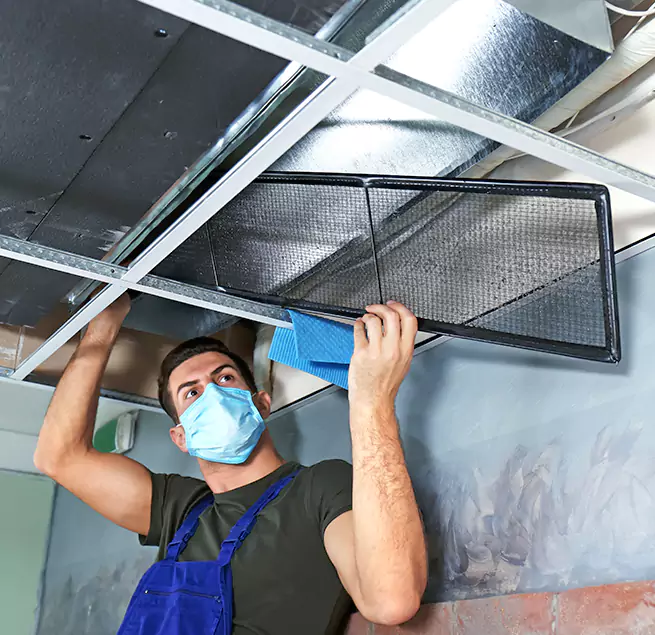 Why Homeowners & Businesses Trust Us in Hallandale Beach, FL?